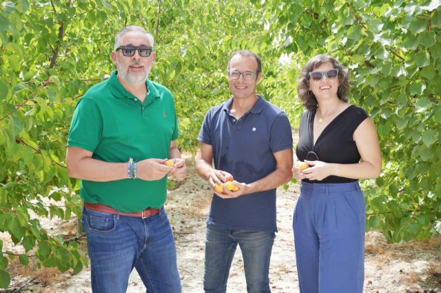 El Ayuntamiento reconoce la trayectoria investigadora de David Ruiz González con la Medalla al Mérito Científico
