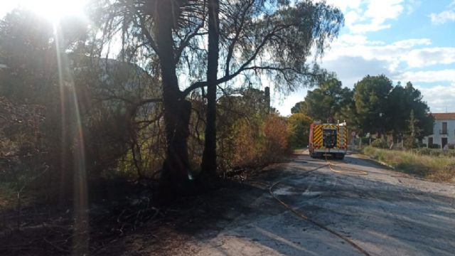 Incendio de palmeras y arbustos declarado frente cuartel de la Guardia Civil en Santomera