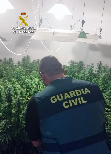 La Guardia Civil desmantela una plantación con cerca de 400 plantas de marihuana en un piso de Santomera