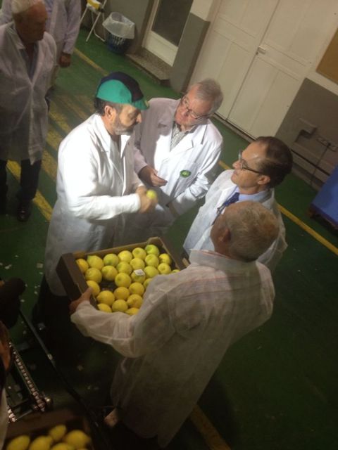 Valcárcel propone 'rigor y contundencia' ante la 'competencia desleal' de terceros países en la producción y exportación del limón
