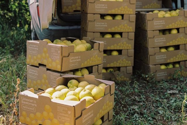 La cooperativa murciana lidera la producción y distribución de limones