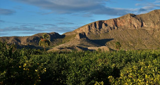 Santomera solicita la protección de la parte murciana de la Sierra de Orihuela